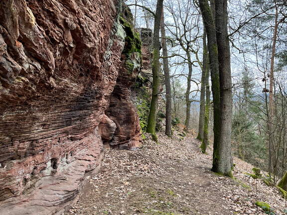 24-03-01 13-18-26 8872